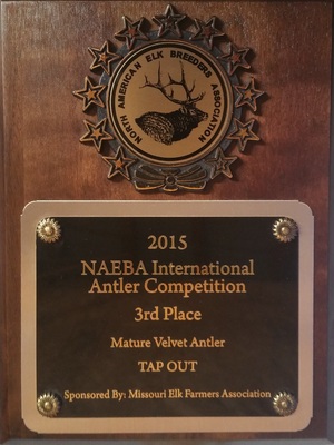 NAEBA International Antler Competition - 2015 Winner